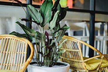 Sugar Hostel Weligama   Coliving & Coworking