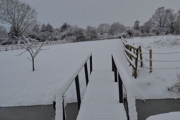 مبيت وإفطار Wortwell Hall Barn
