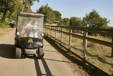 هتل Port Lympne Mansion