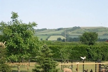 Wayside B&b