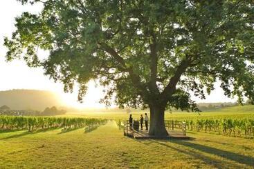 هتل Denbies Vineyard