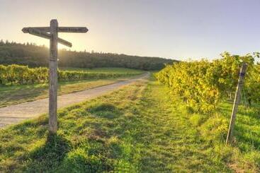 هتل Denbies Vineyard