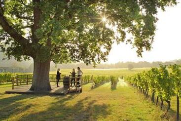 هتل Denbies Vineyard
