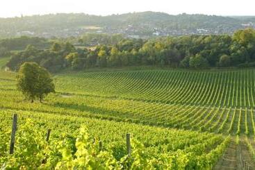 هتل Denbies Vineyard
