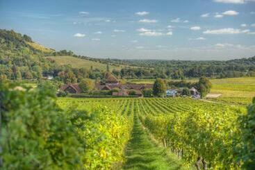 هتل Denbies Vineyard