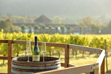 هتل Denbies Vineyard