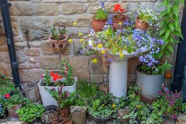 پانسیون Shaftoe S Bed And Breakfast