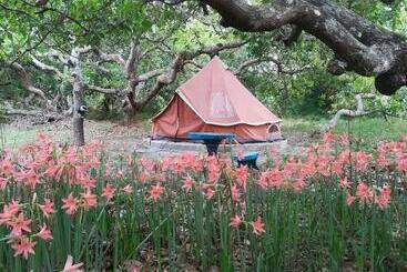 پانسیون Cashew Nut Bungalow, Ko Mook