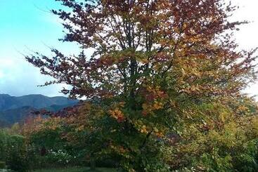 تختخواب و صبحانه Marchmont Gardens