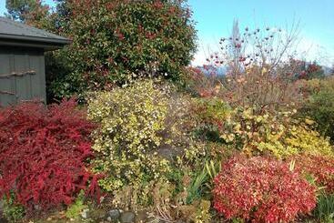 تختخواب و صبحانه Marchmont Gardens