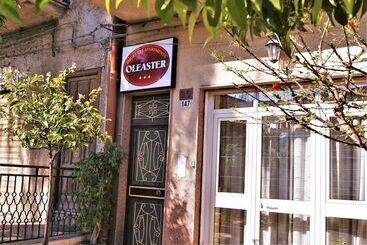 Bed & Breakfast Oleaster