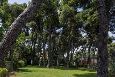 Domotel Kastri