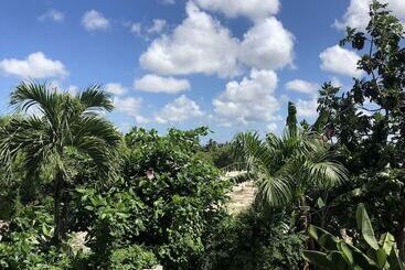 Sol Caribe Pc   Ducassi Rooftop Pool