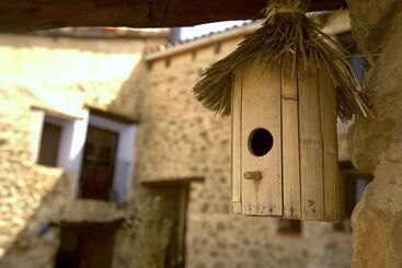 El Cau Dels Somnis