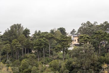 酒店 Sintra Marmoris Camelia