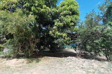 پانسیون Chez Perle Guest House
