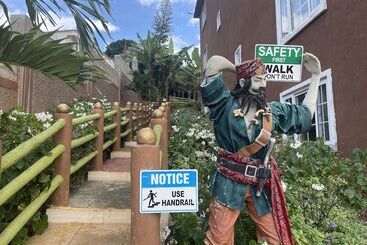 Pirate Palms