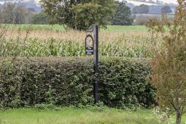 The Pheasant Two