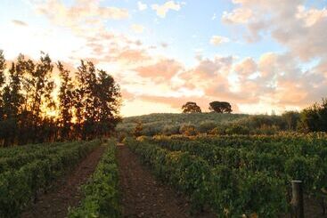 Calais Wine Estate