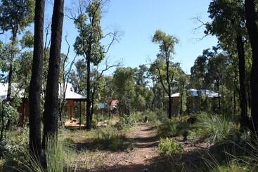 Chalets On Stoneville