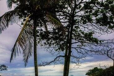 هتل Pousada Praia Do Ribeiro