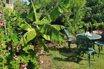 پانسیون Bermuda Connections Guest House