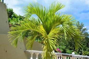 Villa Anse La Blague - Praslin