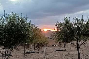 پانسیون Baldi Agafay Marrakech