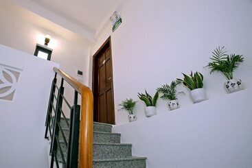 پانسیون Focus Homestay