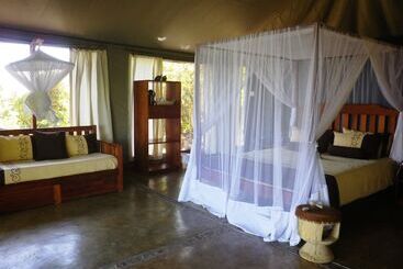 هتل Blue Zebra Island Lodge