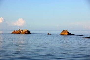 هتل Blue Zebra Island Lodge