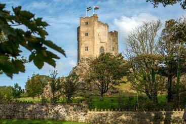 هتل Roch Castle
