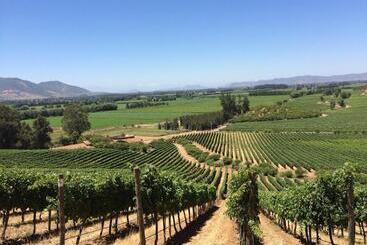 هتل Noi Blend Colchagua