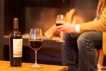هتل Noi Blend Colchagua