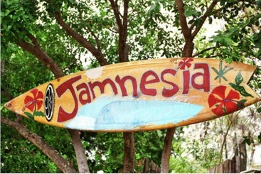 پانسیون 876 Ja Oasis & Homestay   By Kingston Airport