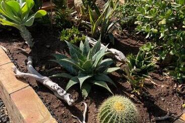 پانسیون Casa Natura 40