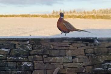 Cozy Cottage Retreat Less Than A Mile From Haworth
