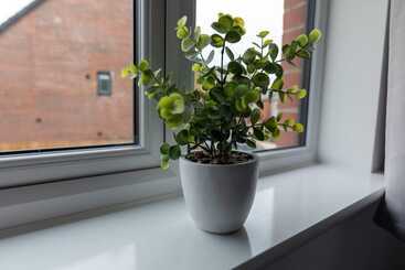 اقامتگاه Beautiful 4 Bed House 15 Mins To Cardiff & Newport