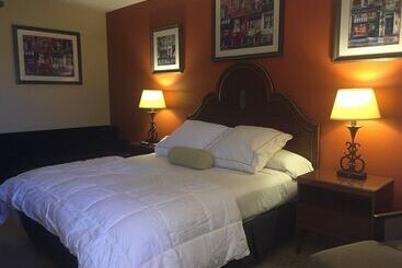 هتل Bayshore Inn