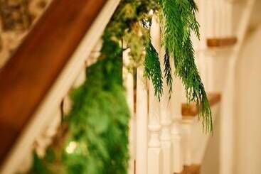 تختخواب و صبحانه 16 Elm Heritage