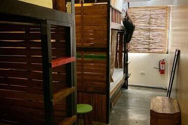 Moon Fools Hostel