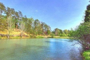 Snoozers Hollow