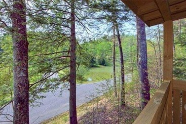 Snoozers Hollow