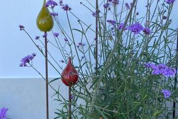 تختخواب و صبحانه Palm View Guesthouse, Adults Only