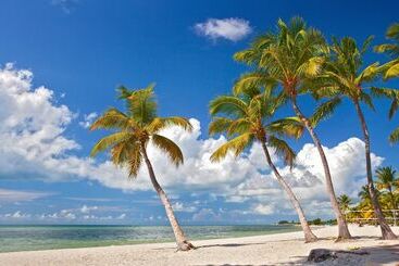 Paradise Place By Avantstay Key West Old Town Condo W/ Shared Pool