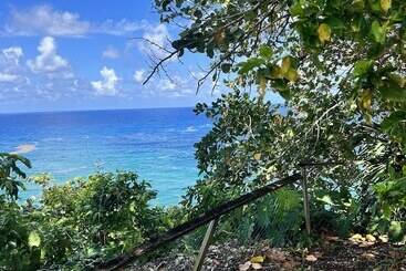 Jamaica Colors Eco Retreat Hotel And Spa
