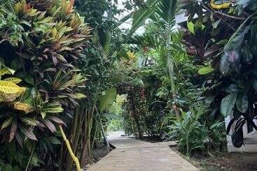 Jamaica Colors Eco Retreat Hotel And Spa