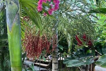 Jamaica Colors Eco Retreat Hotel And Spa