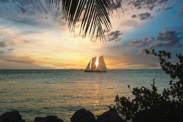 Key West Casa By Avantstay Communal Pool Bbq & Patio Near Duval Street Week Long Stays Only