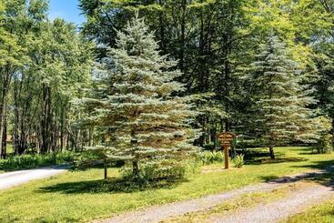 Back Country Cabin